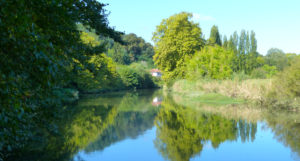 Vue sur l'Adour et les Barthes - Urt