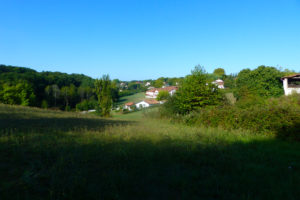 Vue sur la campagne urtoise